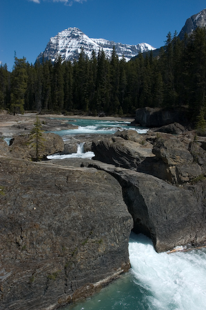 DSC_1554