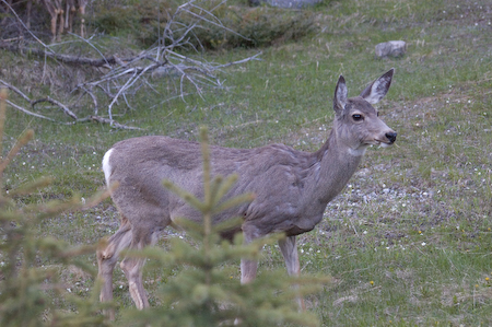 DSC_1679